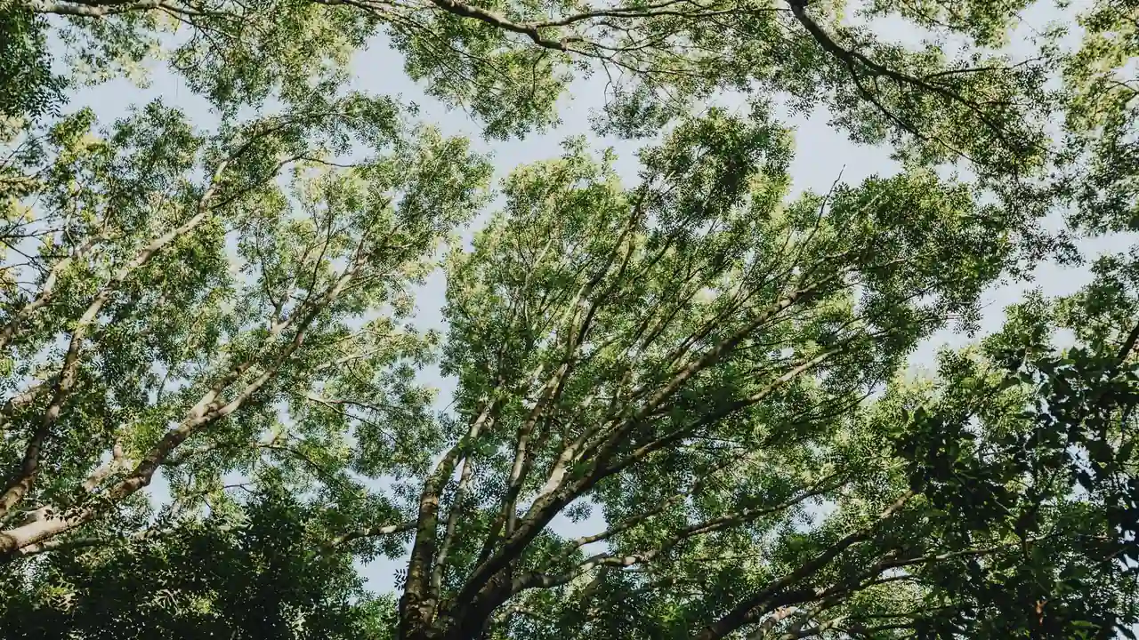 小东西多久没c了